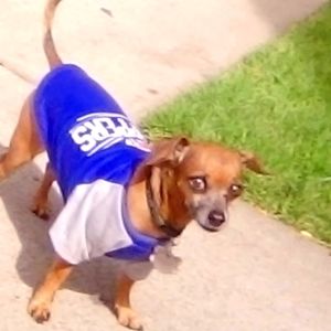 GO GOCLIPPERS ❗ ❗ 🏀🔥🔥